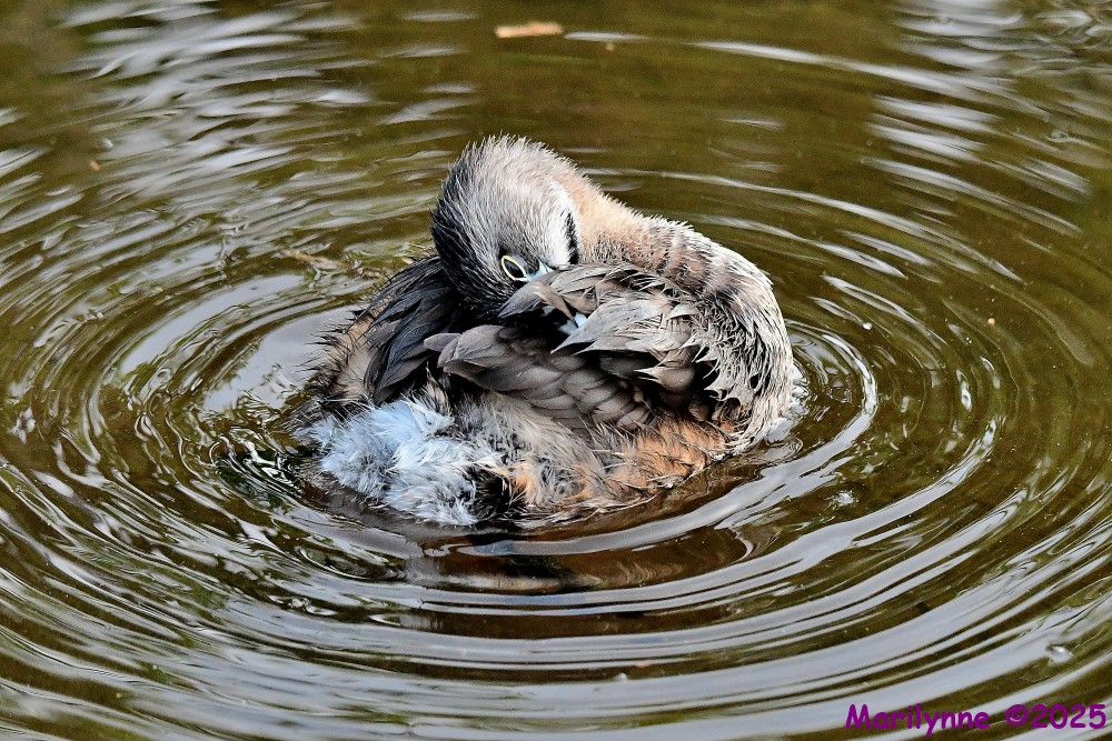 DSC_5500_001.JPG
