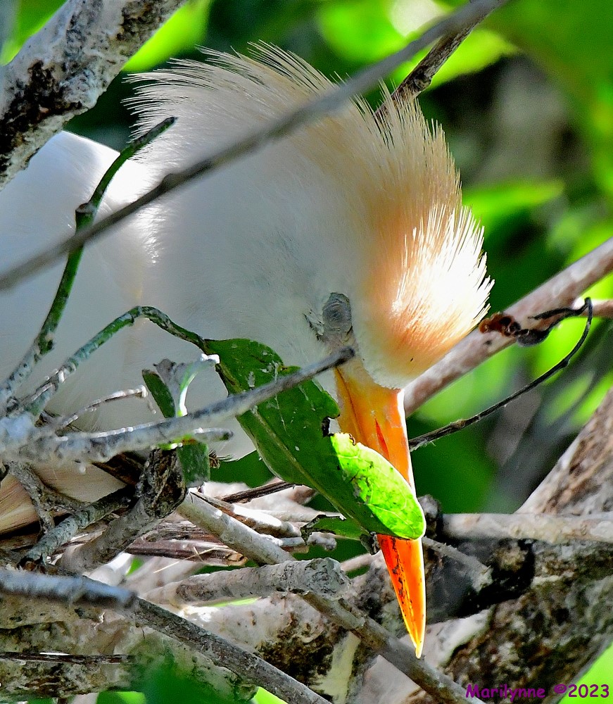 DSC_5502_001.JPG