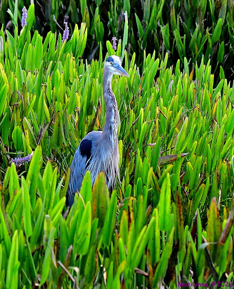 DSC_5503_001.JPG