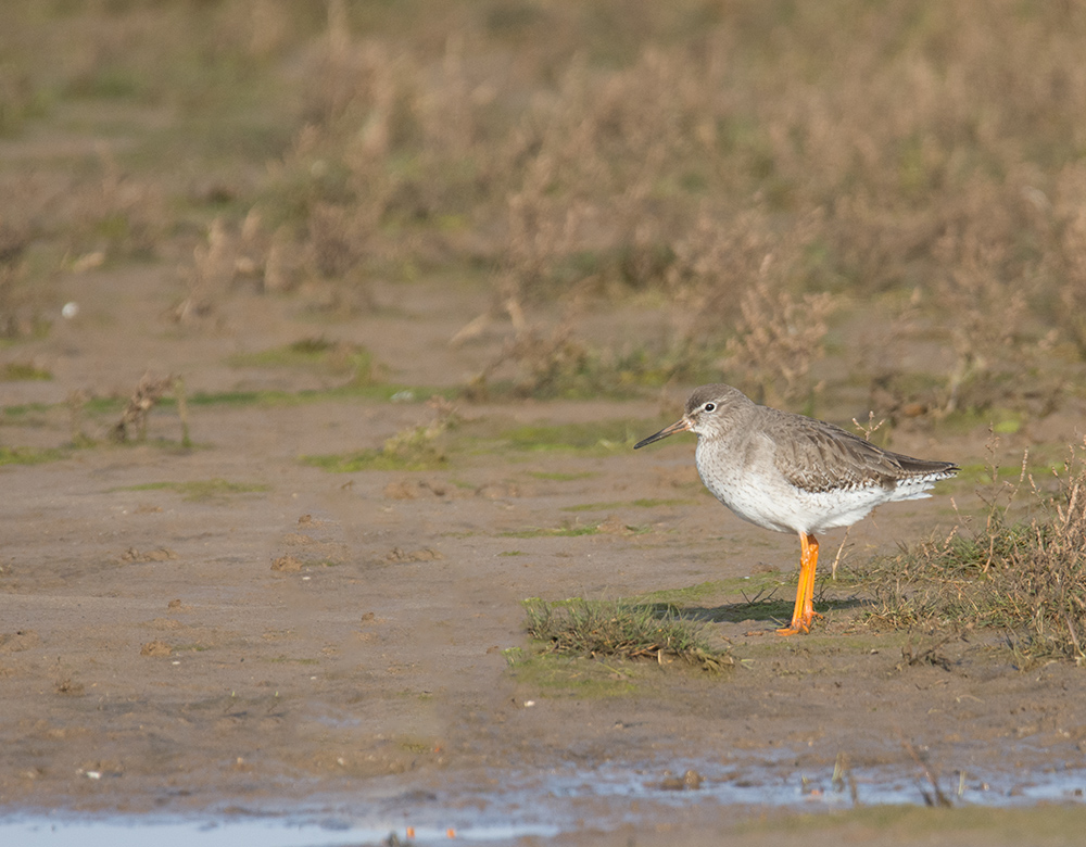 DSC_5506.jpg