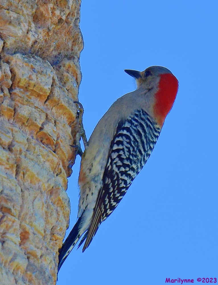 DSC_5509_001.JPG