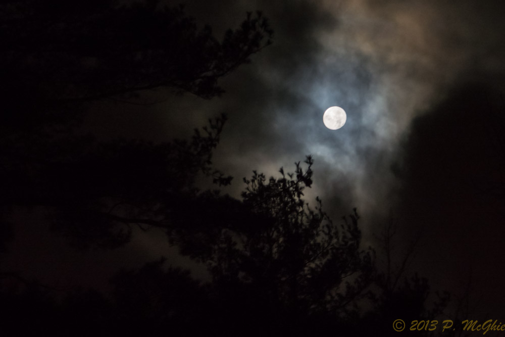 DSC_5510.jpg