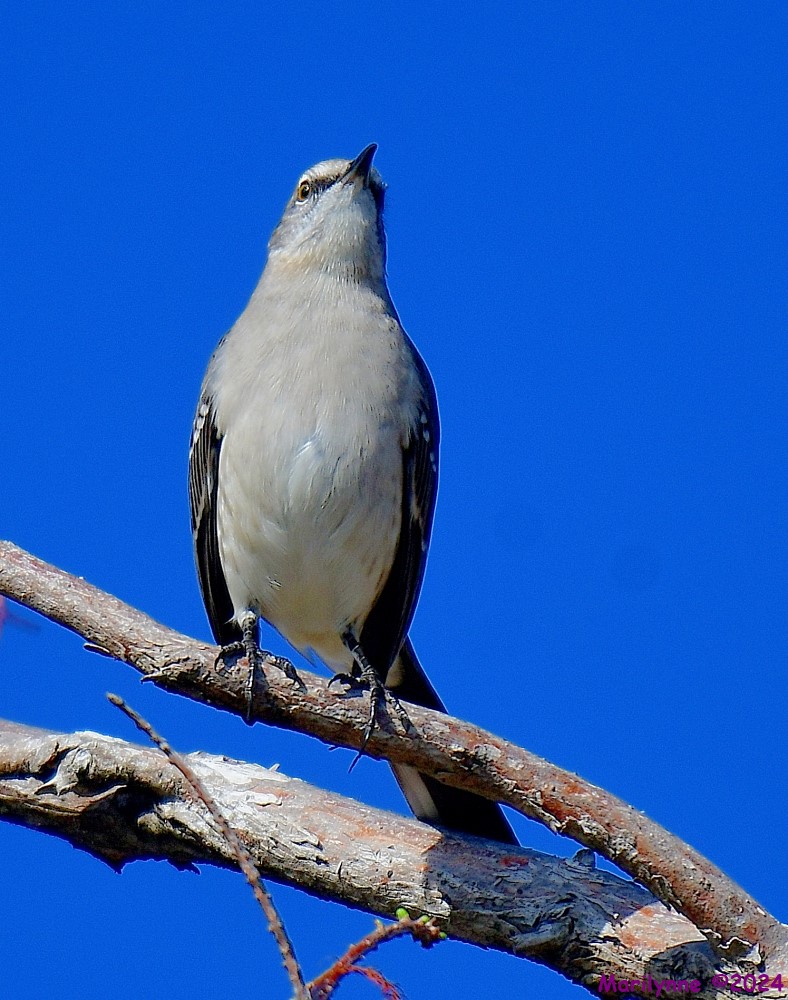 DSC_5512_001.JPG
