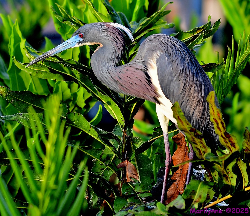 DSC_5513_001.JPG