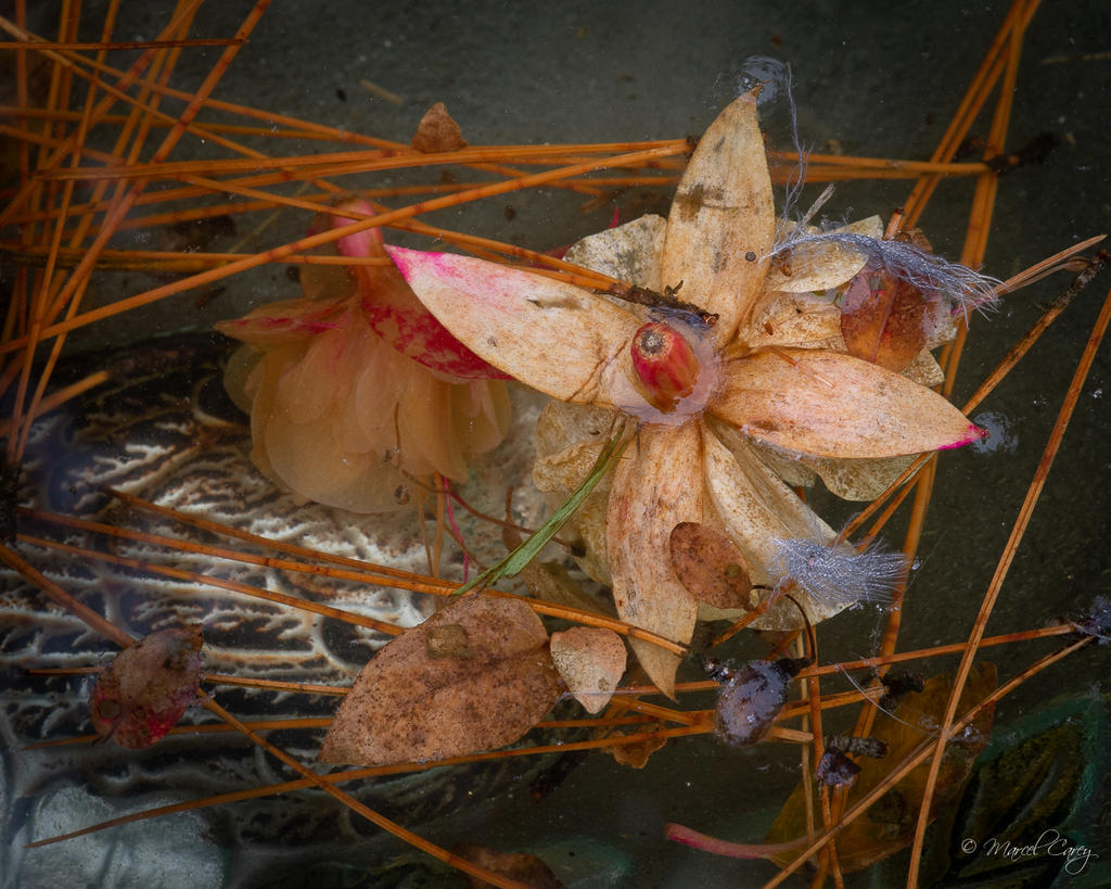 DSC_5514.jpg