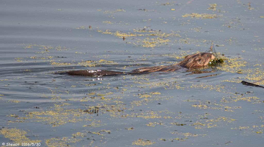 DSC_5517.jpg