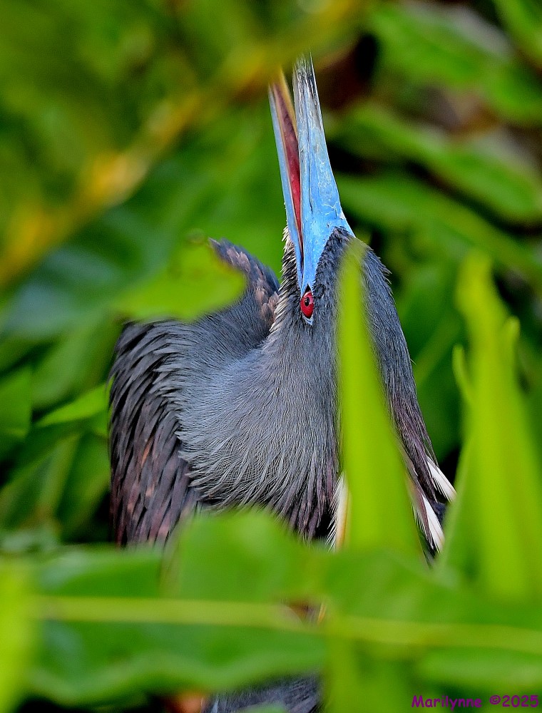 DSC_5517_001.JPG
