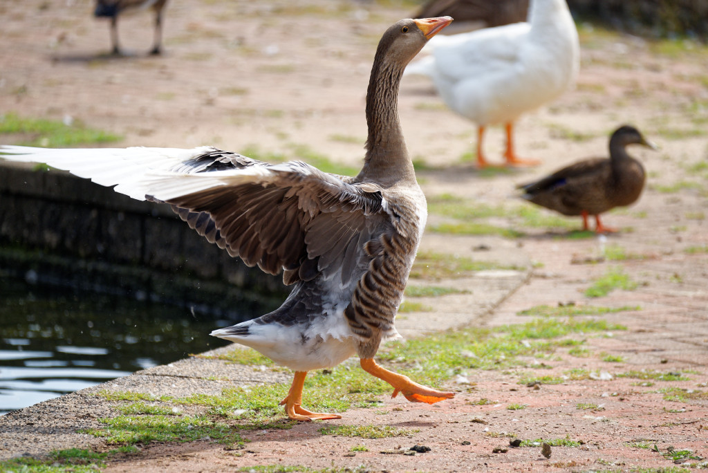 DSC_5520_DxO.jpg