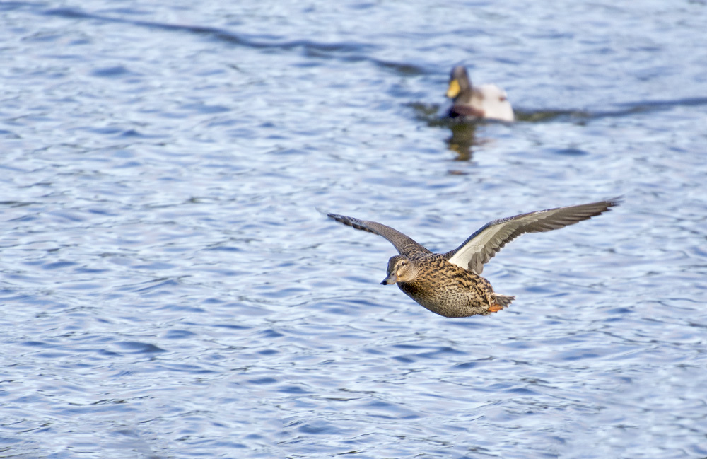 DSC_5523.jpg