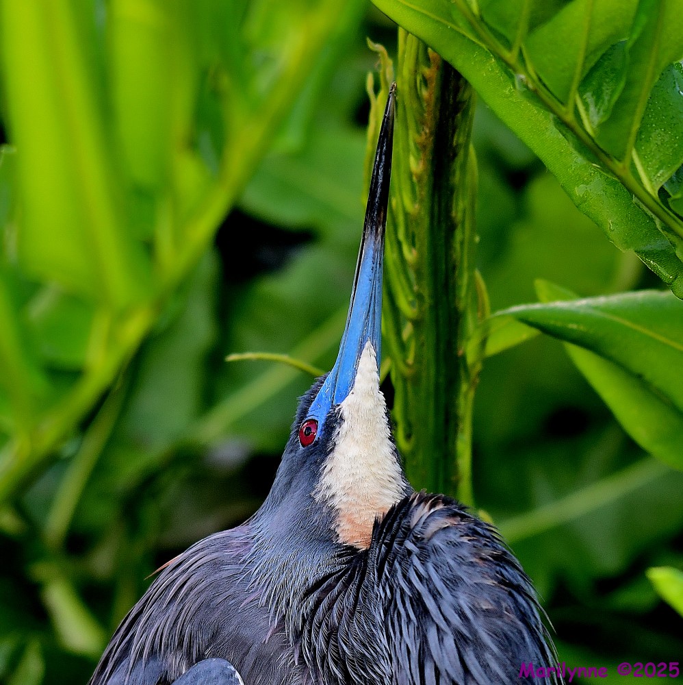 DSC_5525_001.JPG