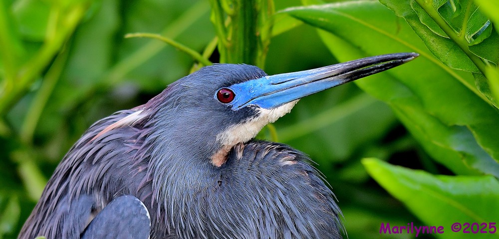 DSC_5526_001.JPG