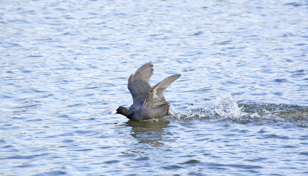 DSC_5529.jpg