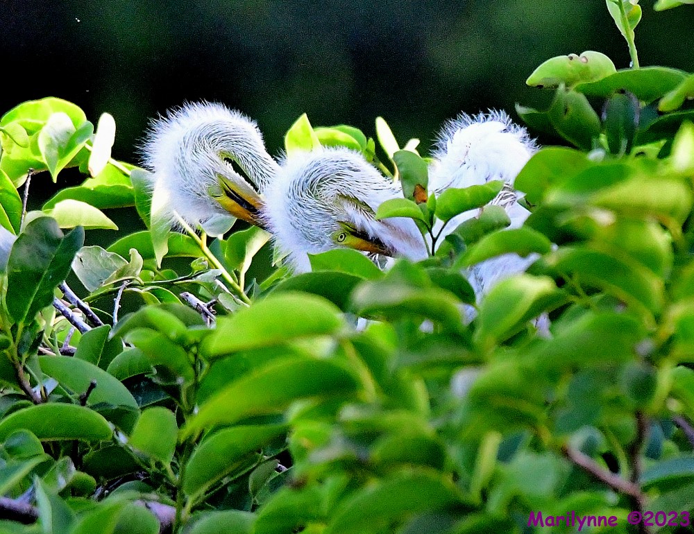 DSC_5530_001.JPG
