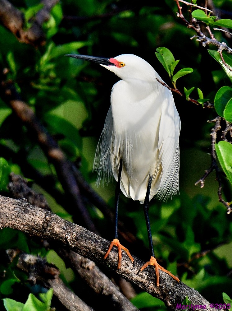 DSC_5532_001.JPG