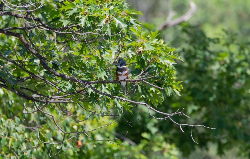 DSC_5534.jpg