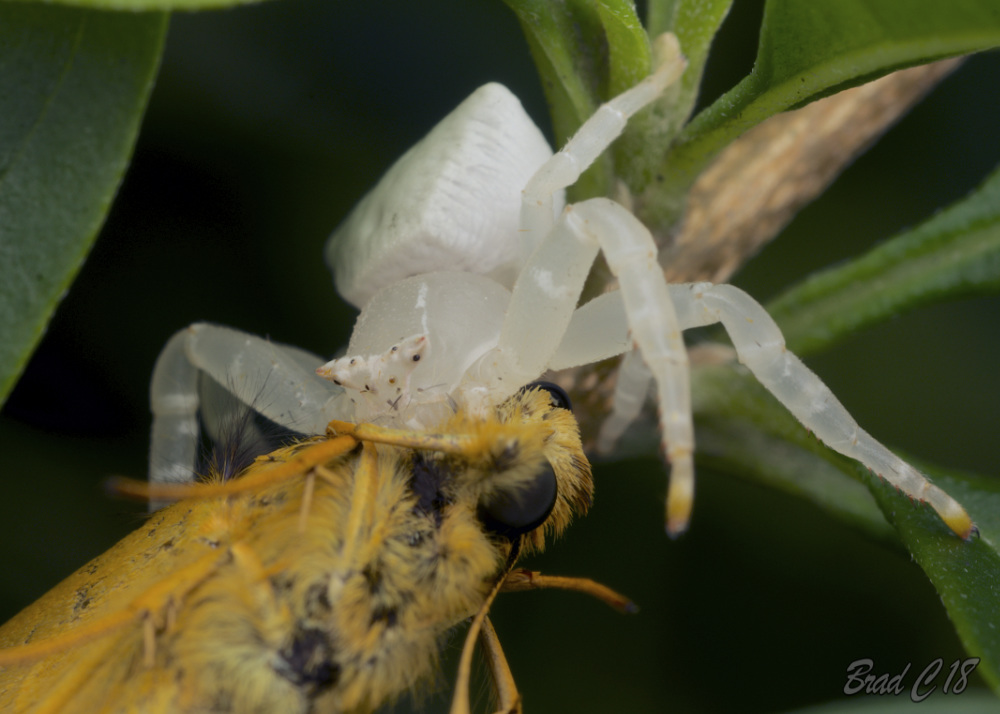 DSC_5535.jpg