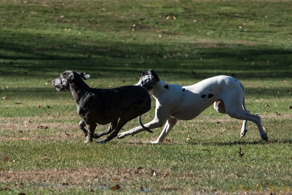 DSC_5535.jpg