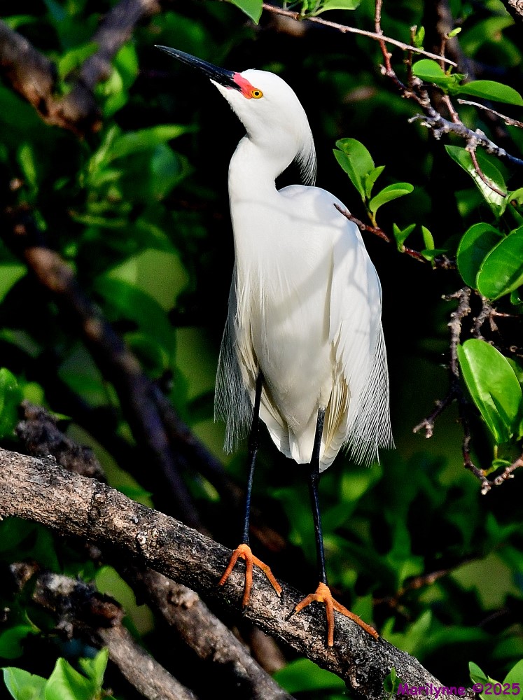 DSC_5535_001.JPG