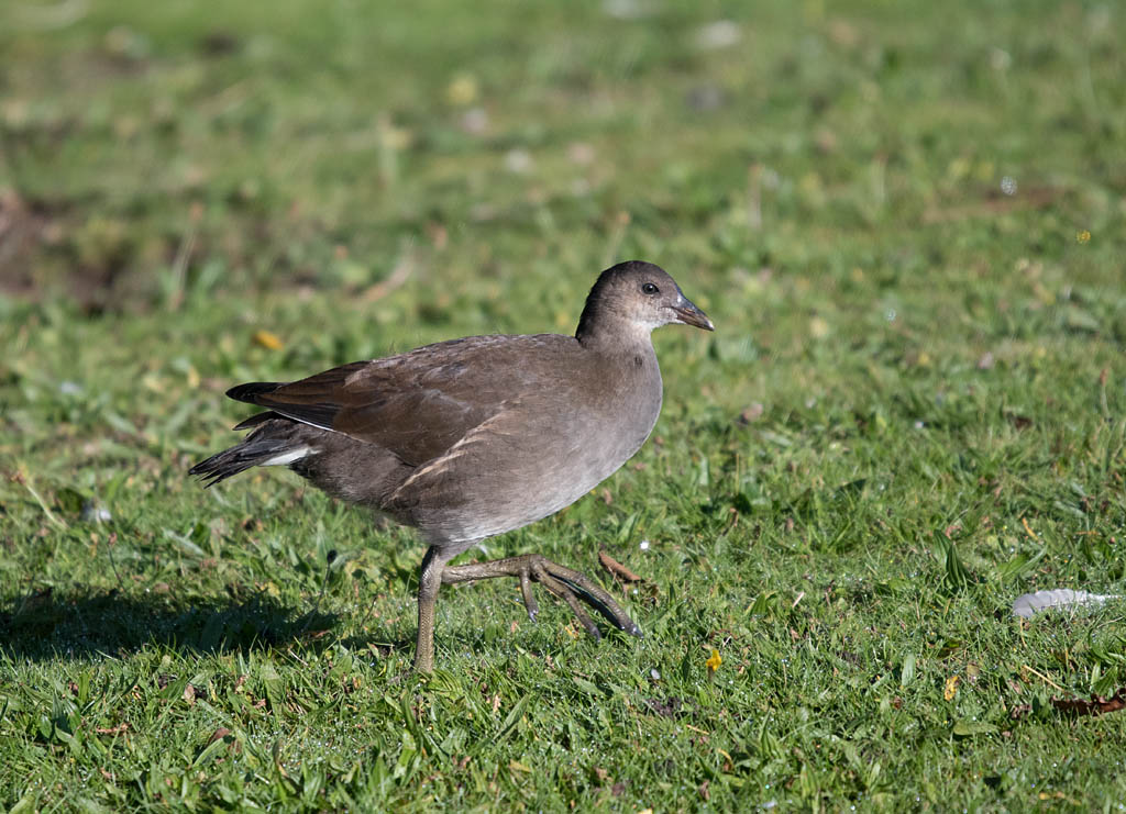 DSC_5537.jpg