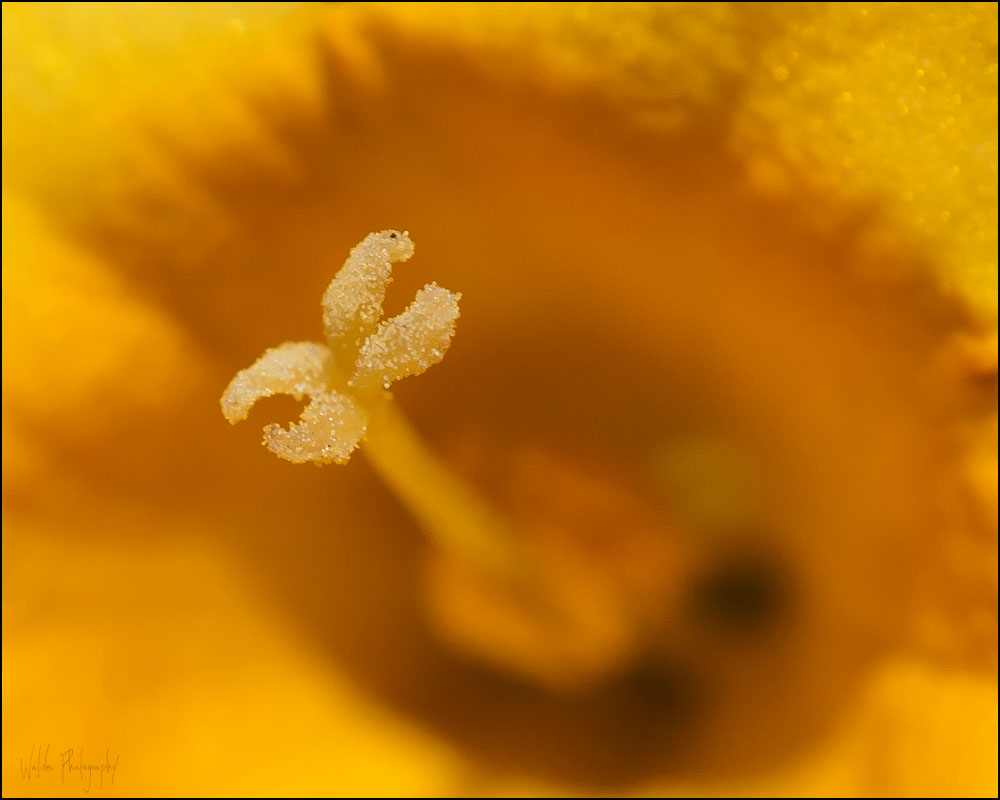 DSC_5537_cropped.jpg