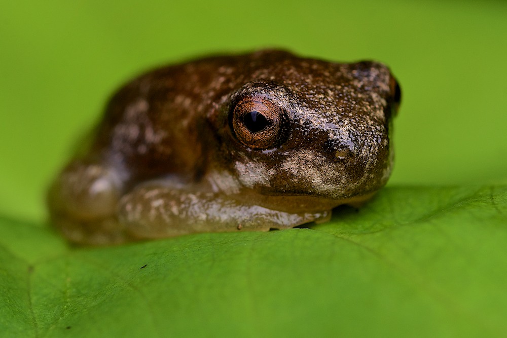DSC_5538.jpg