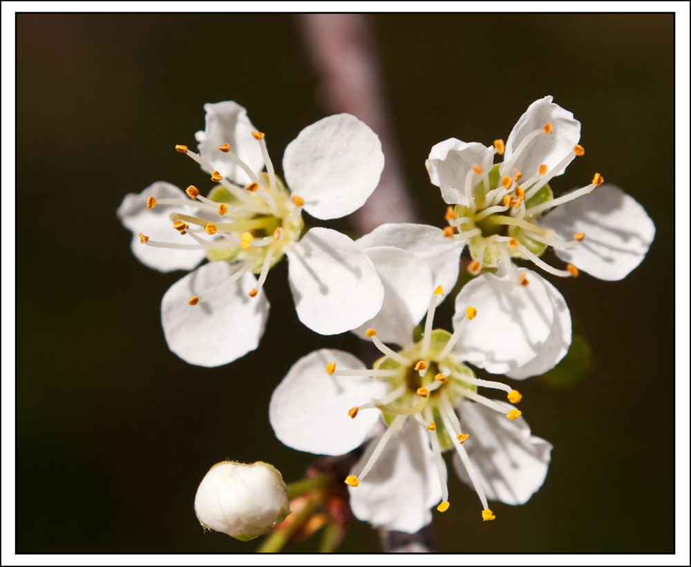 DSC_5538.jpg