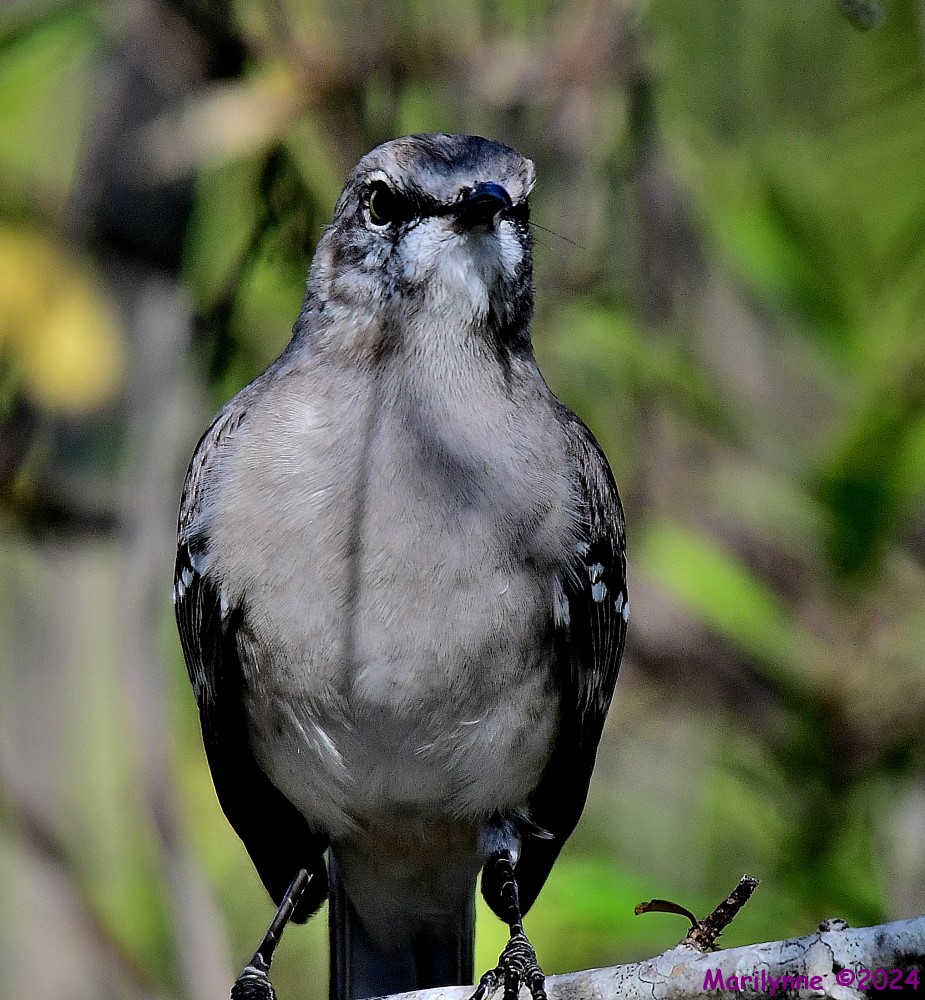 DSC_5538_001.JPG