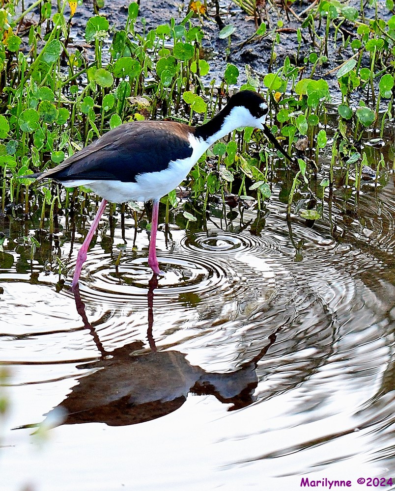 DSC_5541_001.JPG