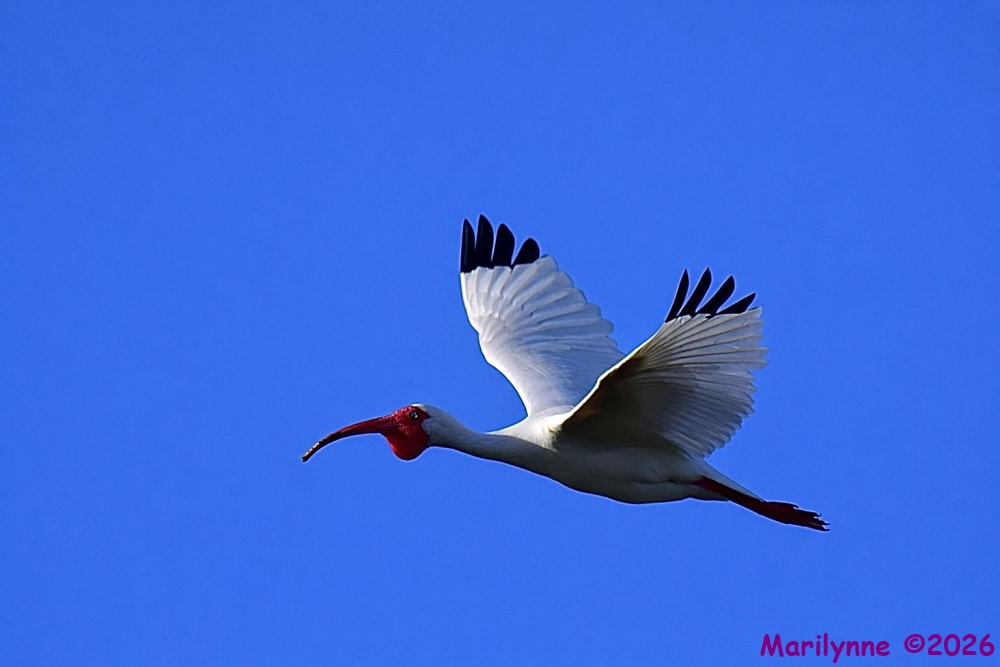 DSC_5541_001.JPG
