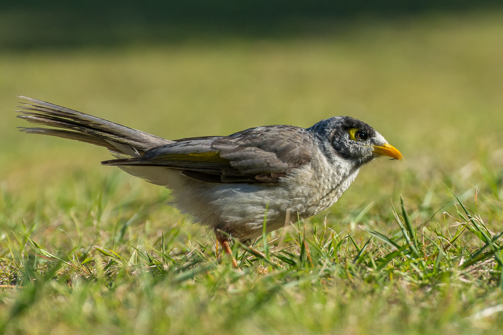 DSC_5542.jpg