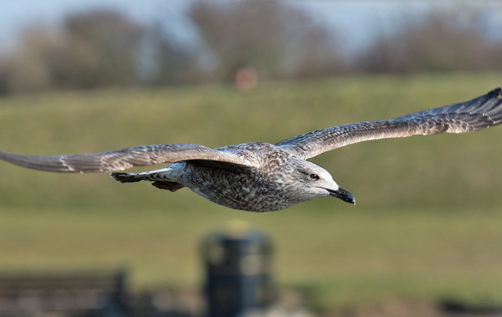 DSC_5548.jpg