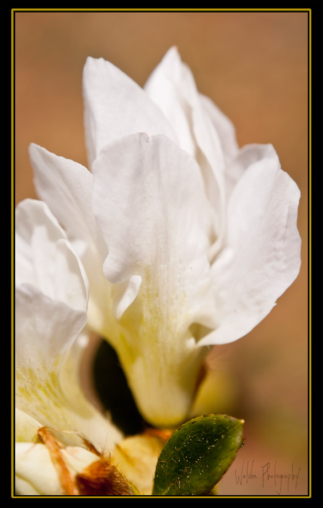 DSC_5550.jpg