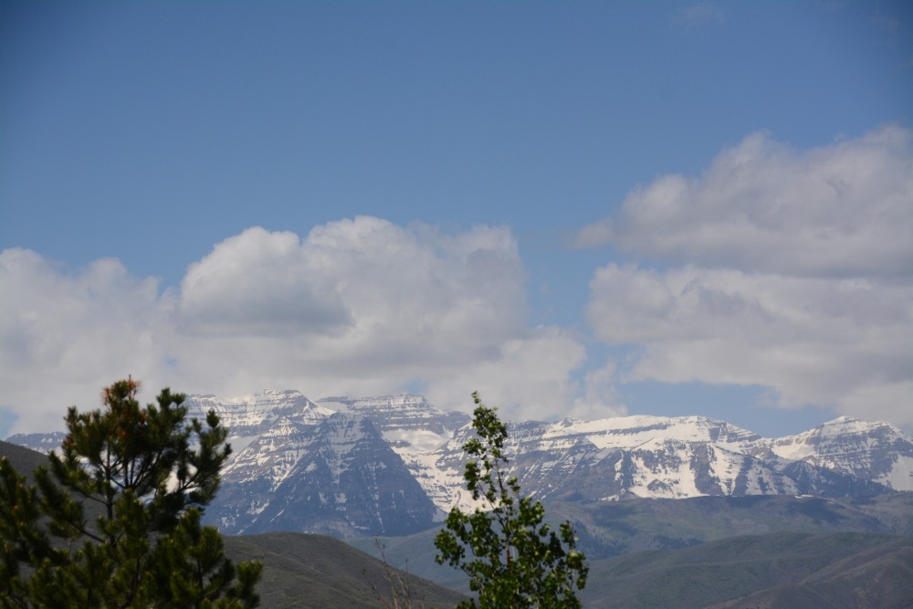 DSC_5550.JPG