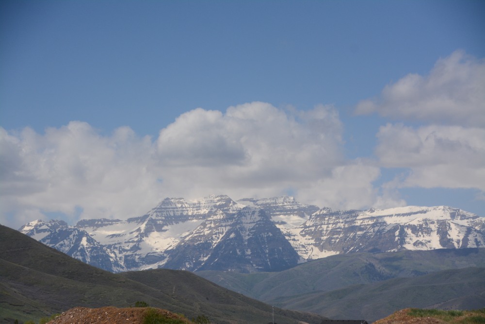 DSC_5551.JPG