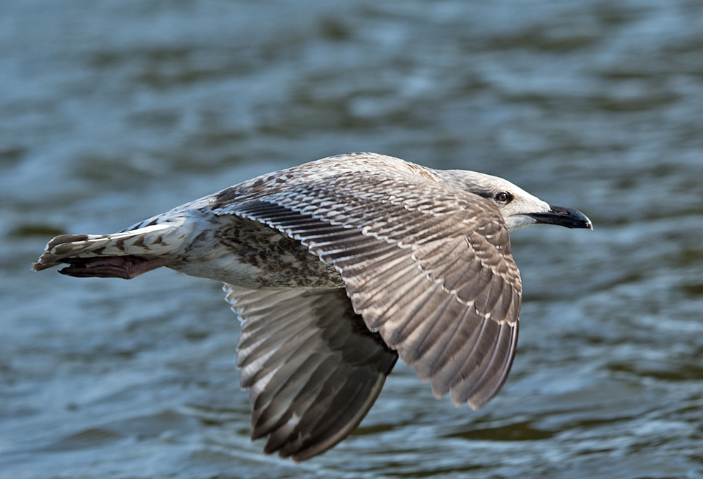 DSC_5552.jpg