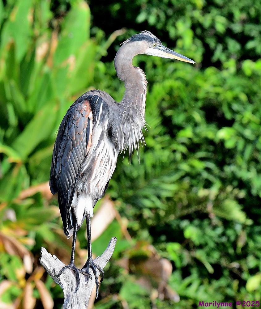 DSC_5552_001.JPG