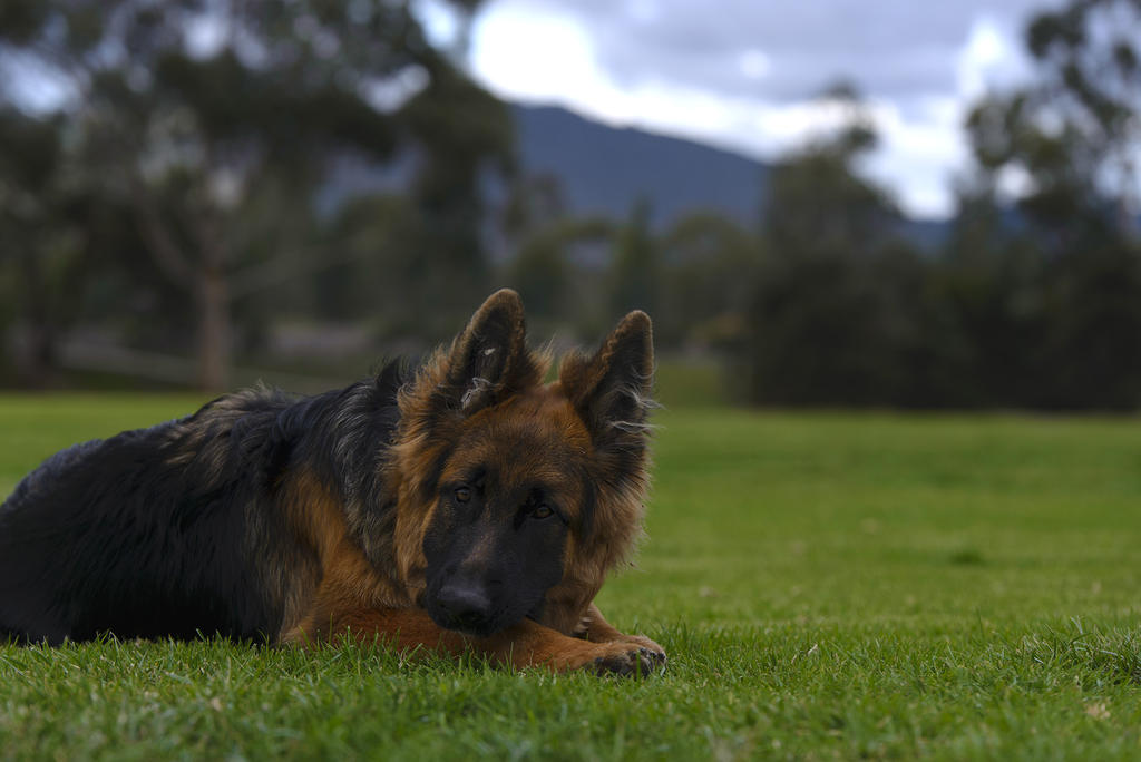 DSC_55551.jpg