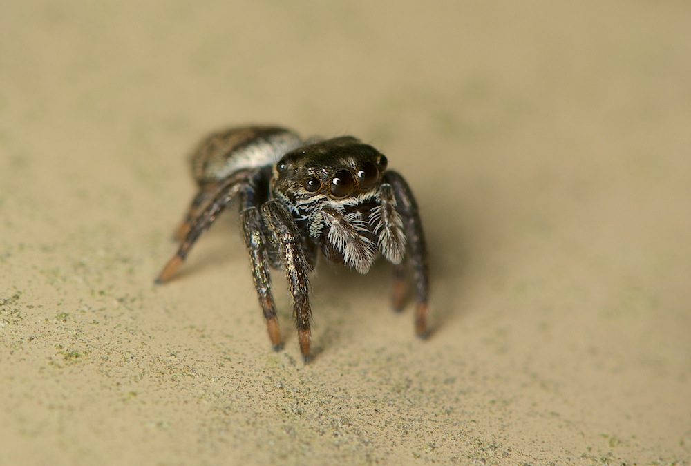 DSC_5556.jpg