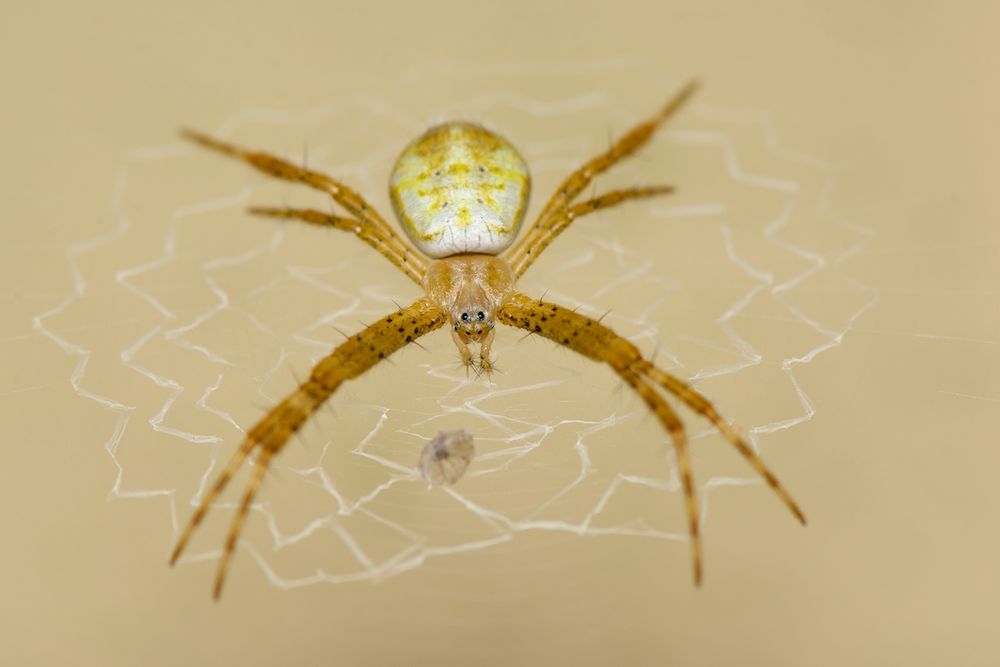 DSC_5569.jpg