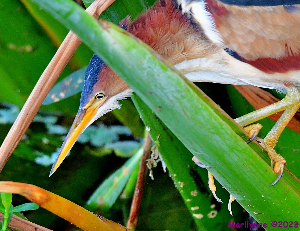 DSC_5569_001.JPG