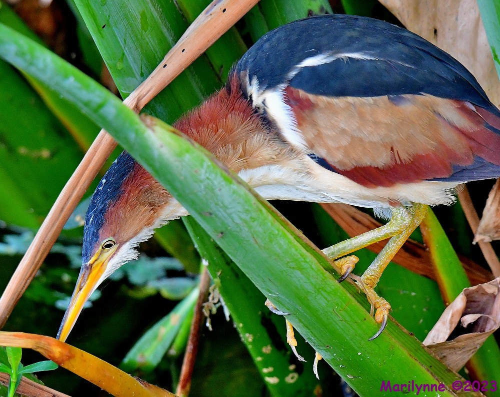 DSC_5570_001.JPG
