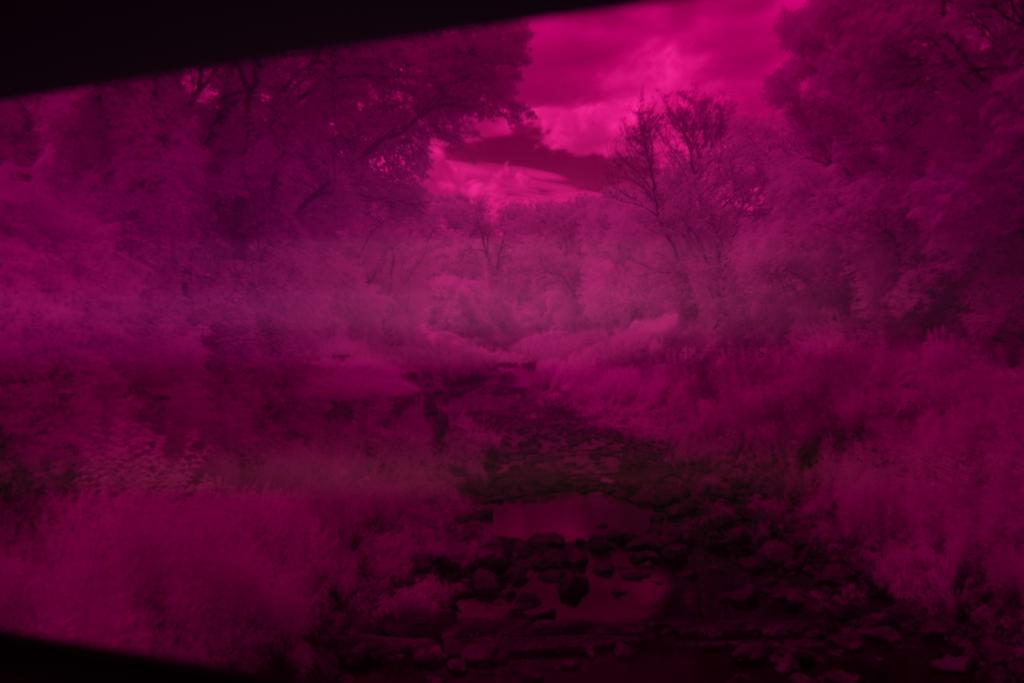 DSC_5571.jpg