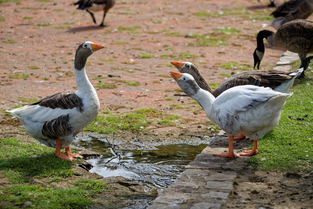DSC_5572_DxO.jpg