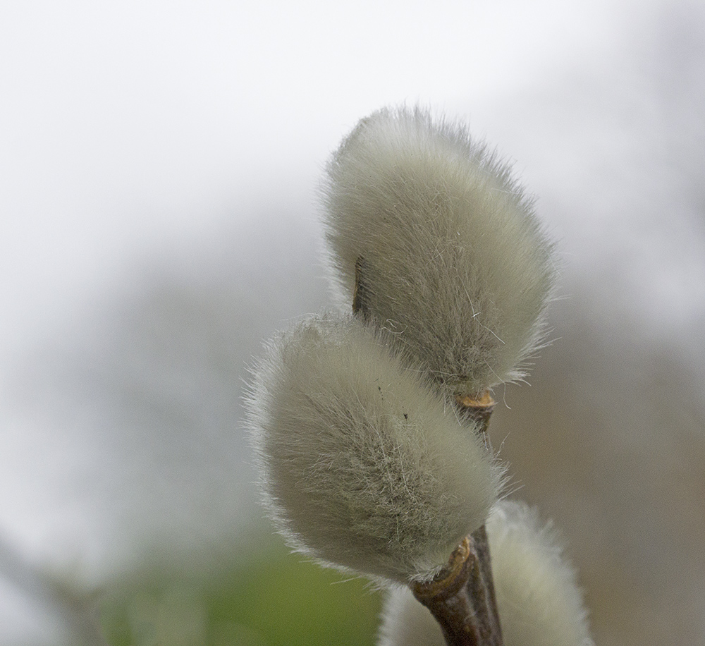 DSC_5573.jpg