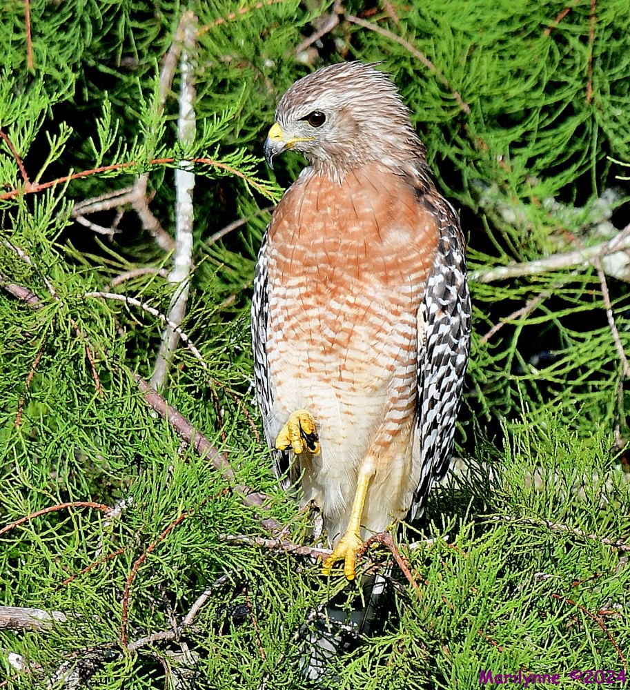 DSC_5576_001.JPG