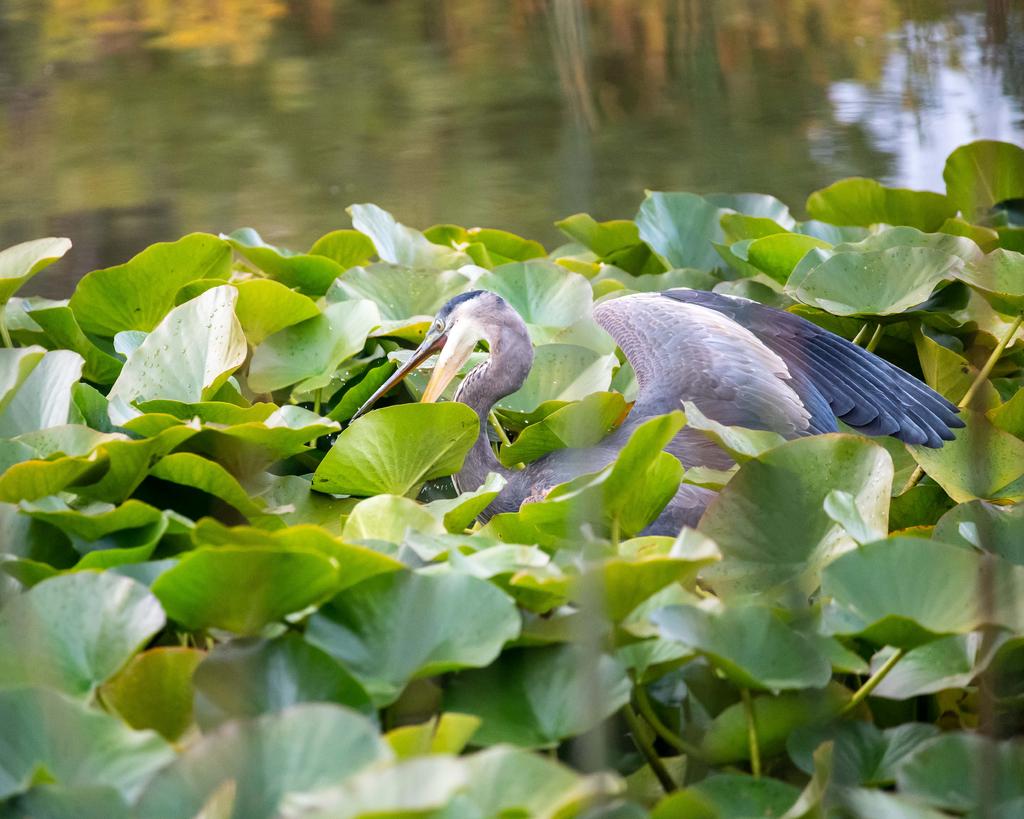 DSC_5578.jpg