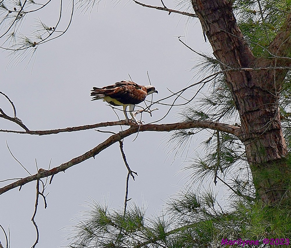 DSC_5578_001.JPG