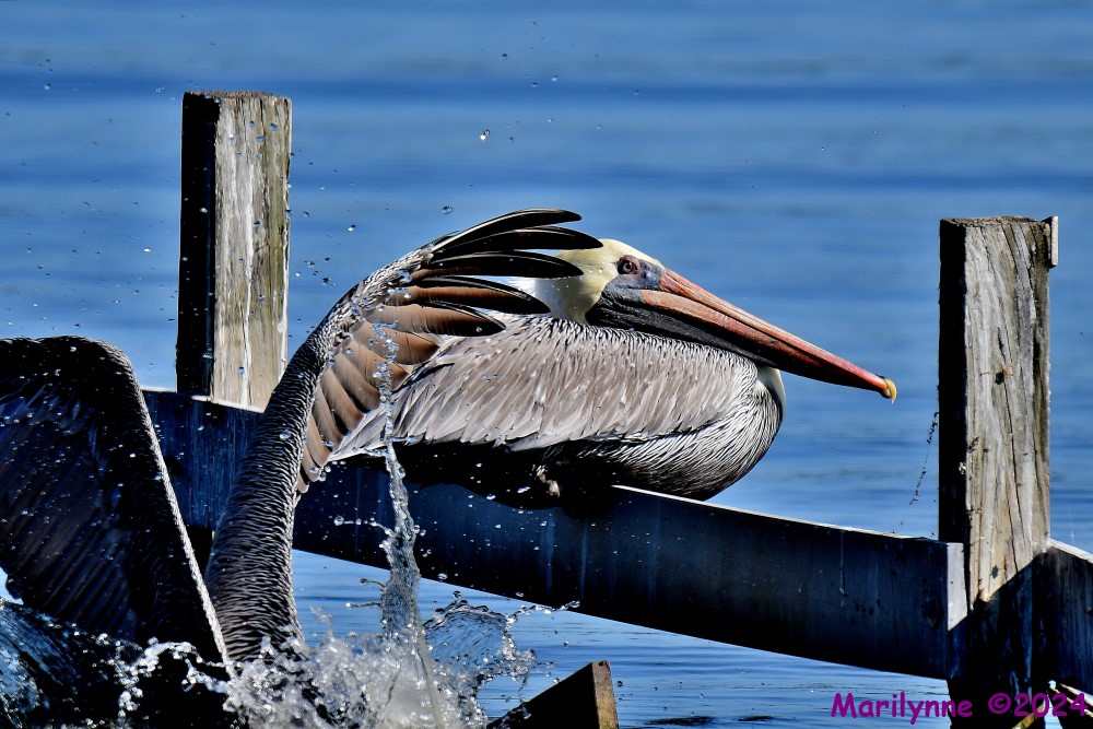 DSC_5578_001.JPG