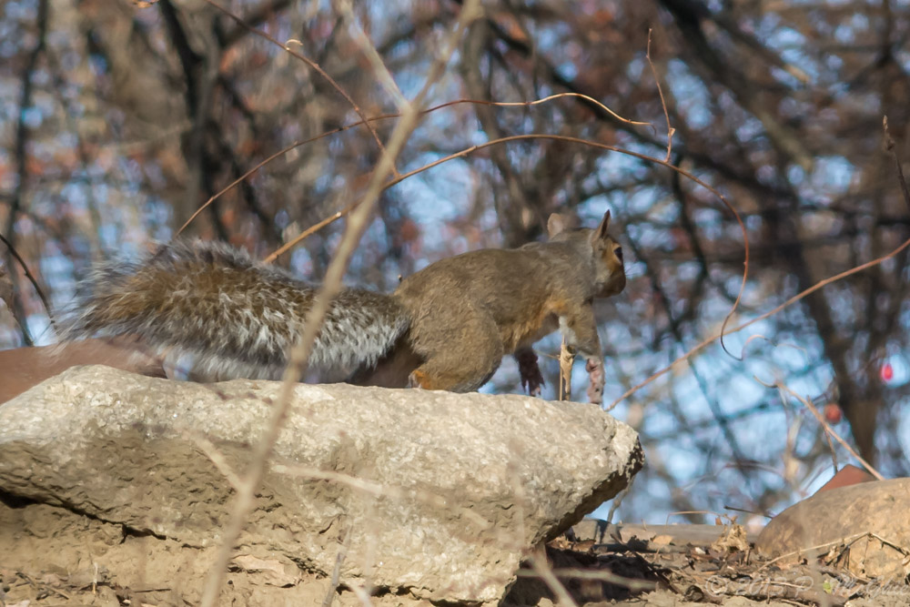 DSC_5579.jpg