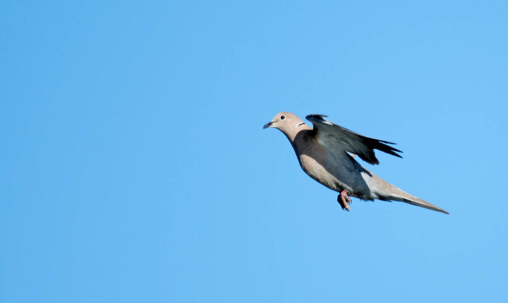 DSC_5582.jpg